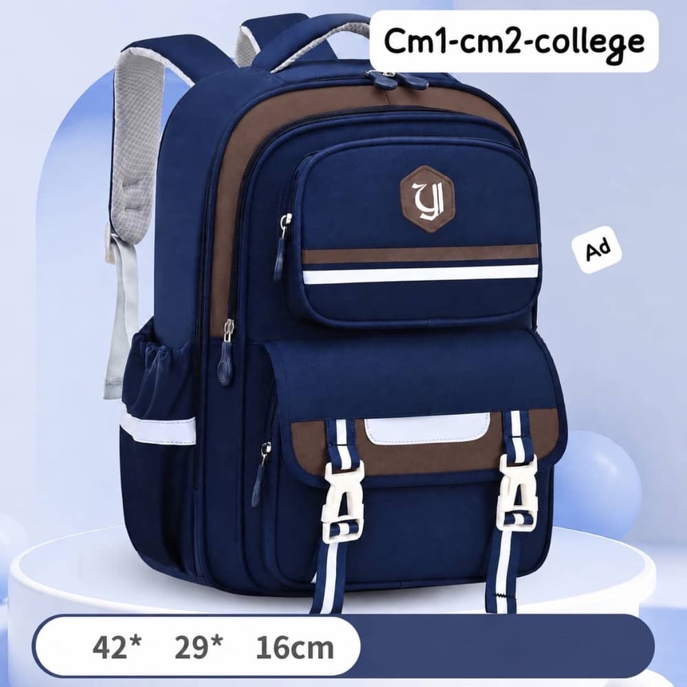 Stylish School Backpack