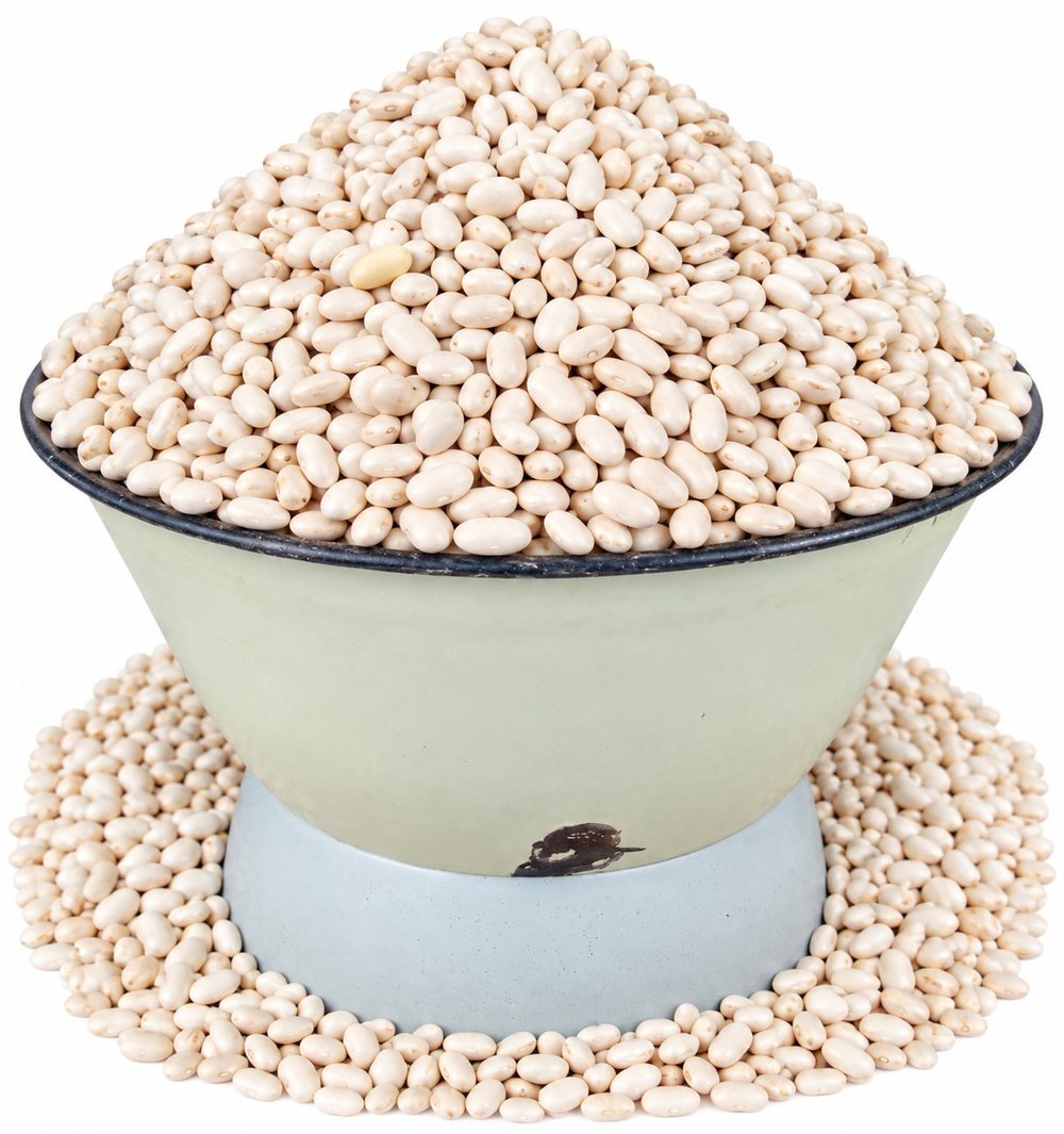 Doyi Beans Grain