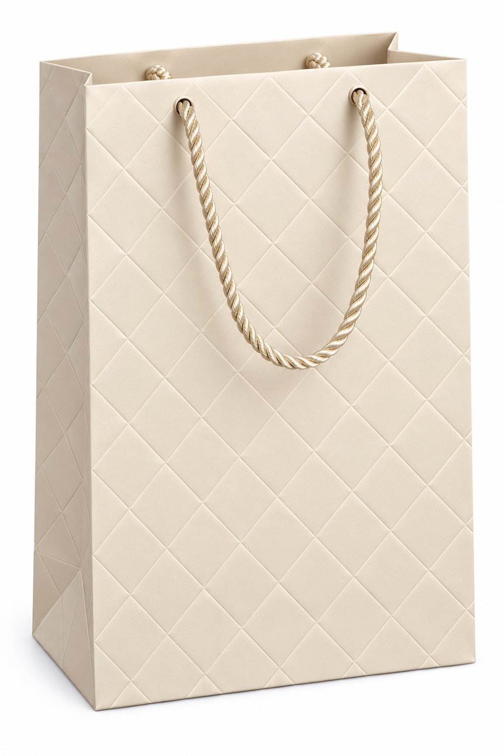 Textured Gift Paper Bag