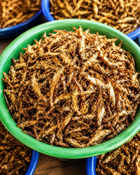dry fish abobi
