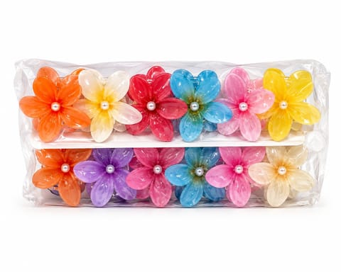 Elegant Women's Hair Clip