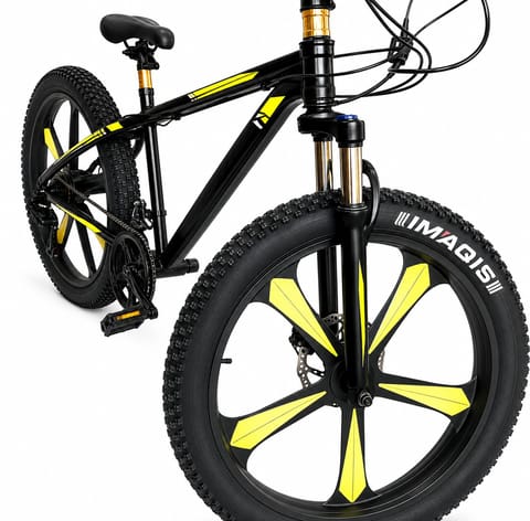Comfortable Performance Bike