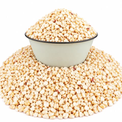 Premium Maize Grain