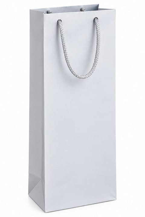 Elegant Silver Gift Bag