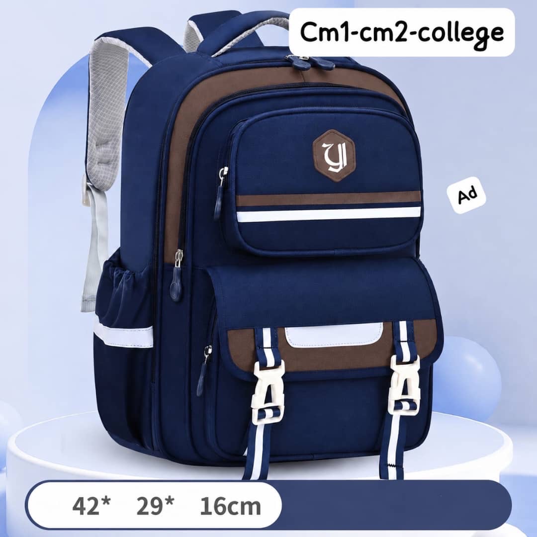 Stylish School Backpack