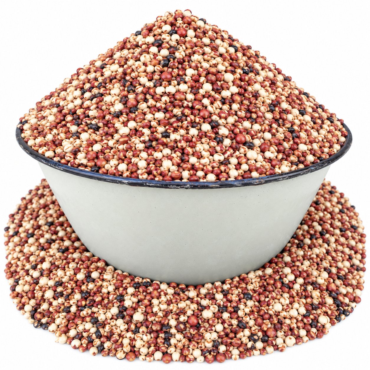 Grain of Millet