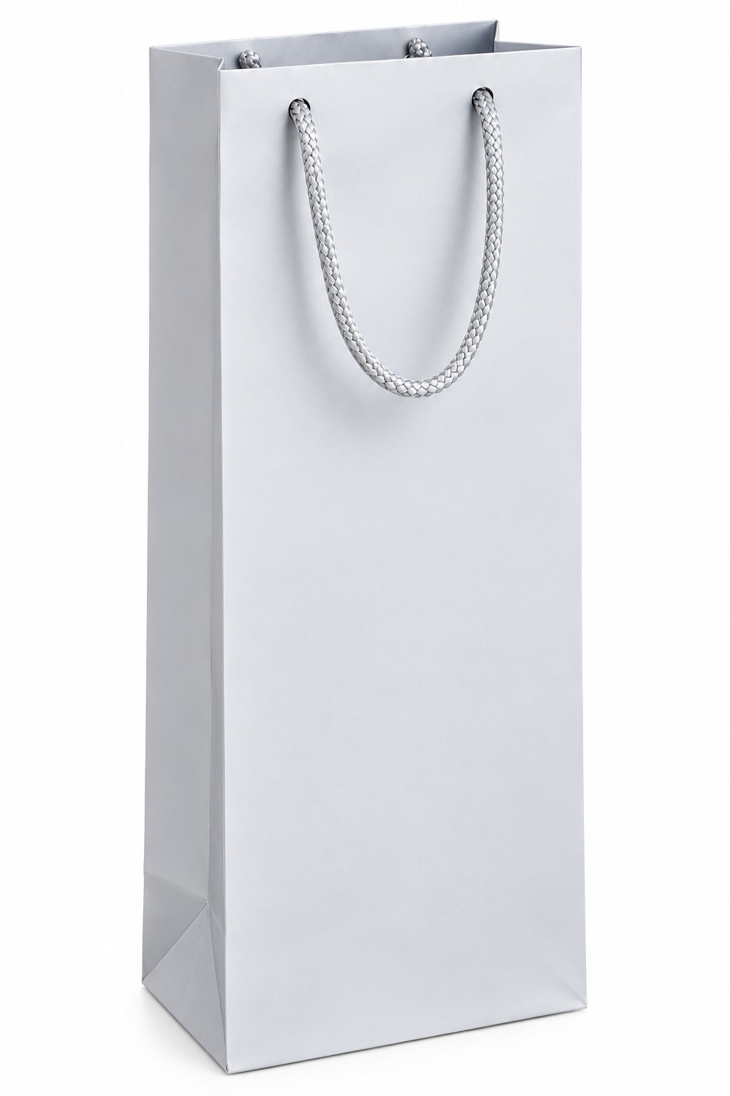 Elegant Silver Gift Bag